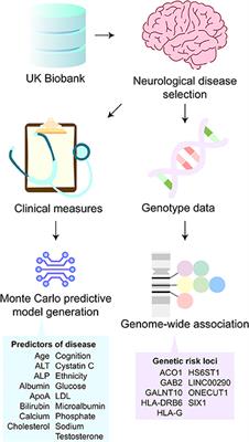 Machine Learning Analysis Reveals Biomarkers for the Detection of Neurological Diseases